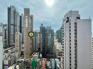 Sai Ying Pun - 6 Wilmer Street 05