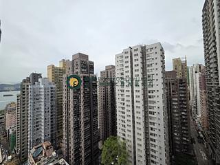 Sai Ying Pun - 15 Western Street 08