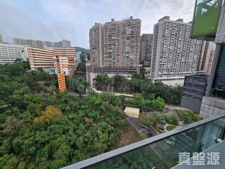 North Point - Lime Habitat 05