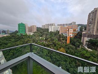 North Point - Lime Habitat 06