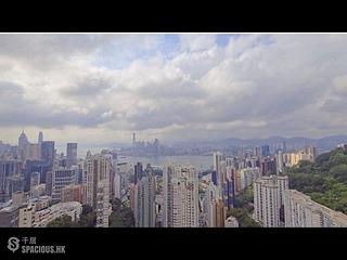 大坑 - 春晖8号 45
