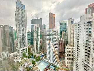 Sai Ying Pun - Macro Garden 03