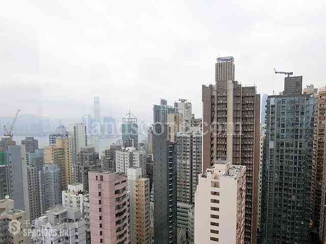 Sai Ying Pun - The Summa 02