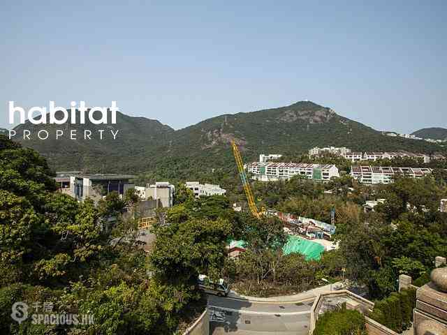 Shouson Hill - Las Pinadas 17