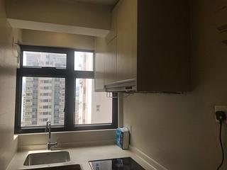 Sai Ying Pun - Goodwill Garden 02