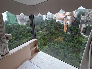 North Point - Lime Habitat 11