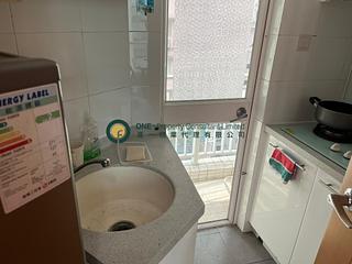 Sai Ying Pun - Reading Place 03