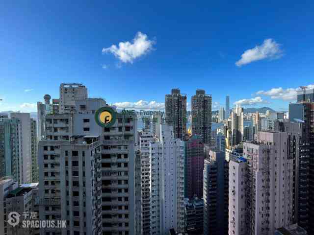 Sai Ying Pun - Reading Place 11