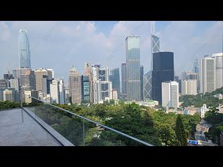 中半山 - 羅便臣道1號 06