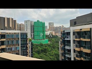 North Point - Fleur Pavilia 02