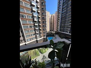 北角 - 柏蔚山1座 11