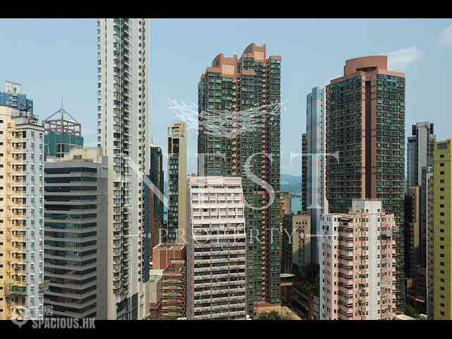 Sheung Wan - Hollywood Hill 05