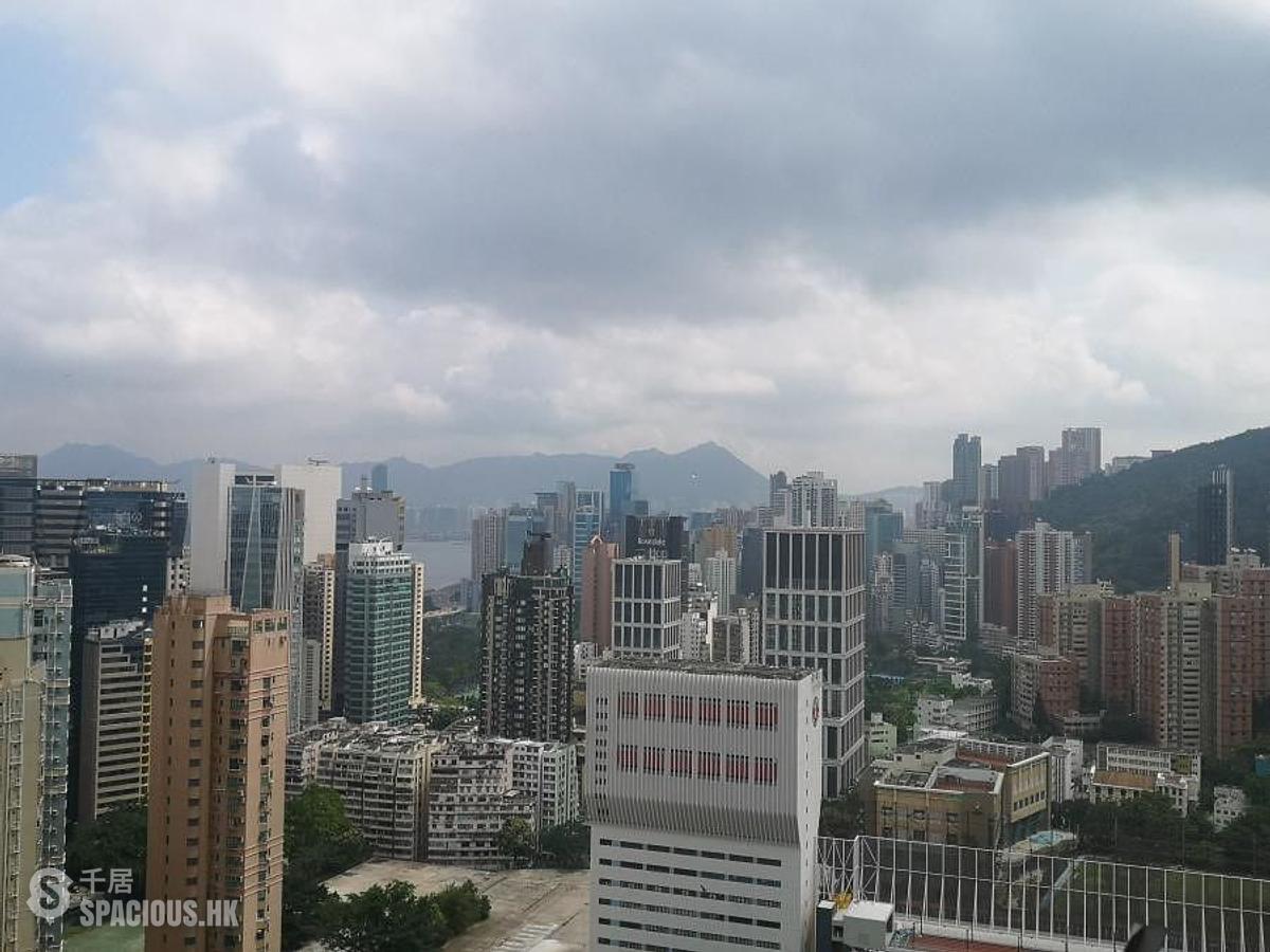 跑馬地 - 比華利山 01
