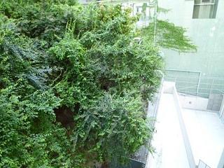 Wan Chai - Manrich Court 09