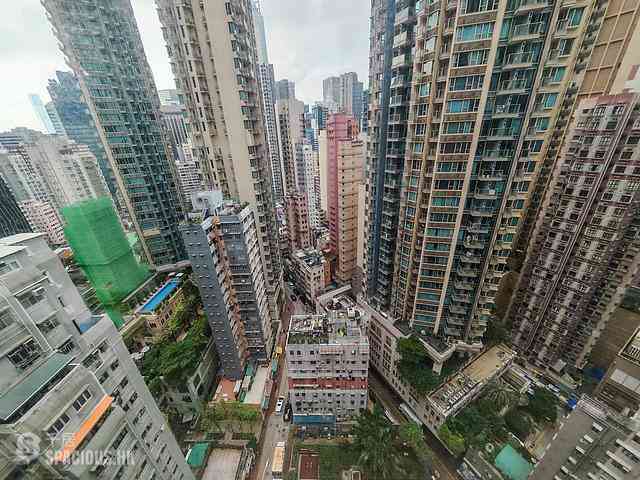 Wan Chai - Spring Garden 11