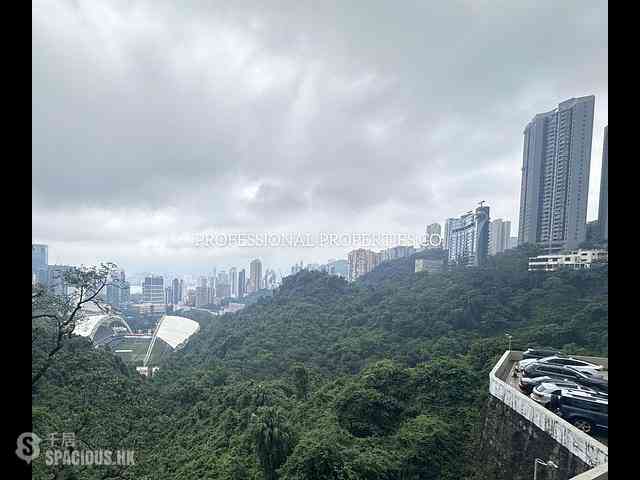 跑马地 - 渣甸山花园大厦 04