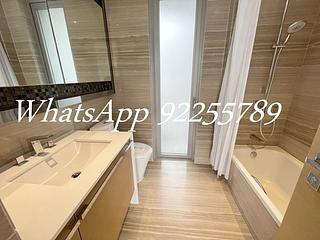 Sai Ying Pun - The Summa 04