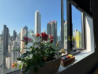 Sheung Wan - Hollywood Hill 02