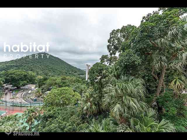 薄扶林 - 利嘉大厦 08