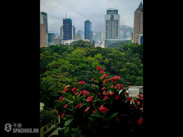Tsim Sha Tsui - The Victoria Towers 02