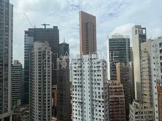Sai Ying Pun - Macro Garden 08