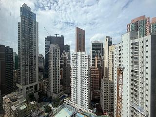 Sai Ying Pun - Macro Garden 09
