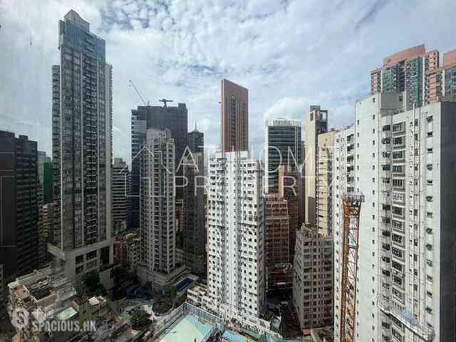 Sai Ying Pun - Macro Garden 09