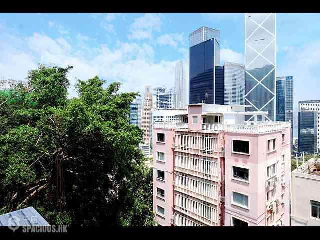 Mid Levels Central - Welsby Court 27