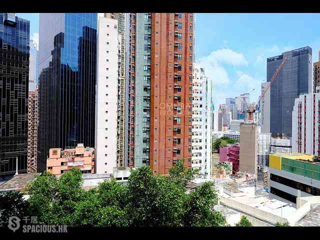 Mid Levels Central - Welsby Court 29