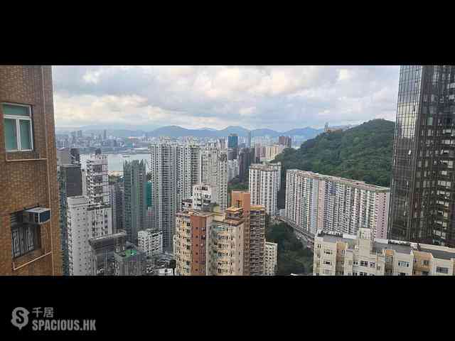 大坑 - 大坑台 12
