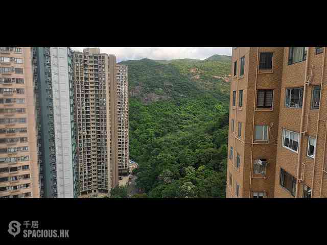 大坑 - 大坑台 13