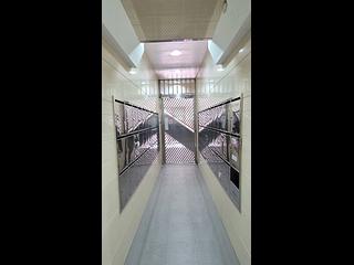 Shau Kei Wan - On Lok Building 09