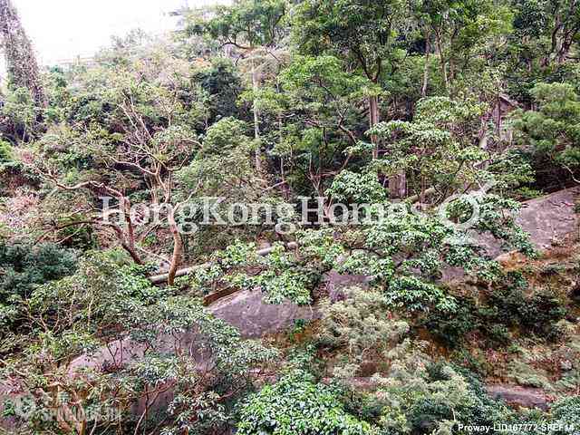 Pok Fu Lam - Baguio Villa 02