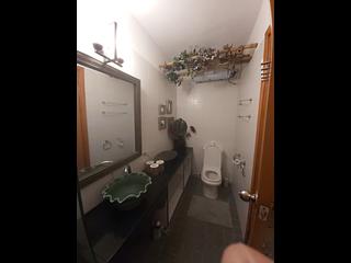 Soho - 38, Elgin Street 15
