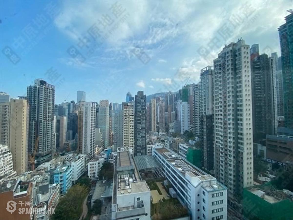 Central - Hollywood Terrace 01
