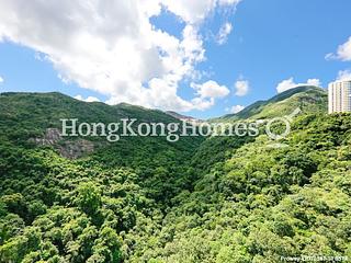 Tai Hang - Ronsdale Garden 02