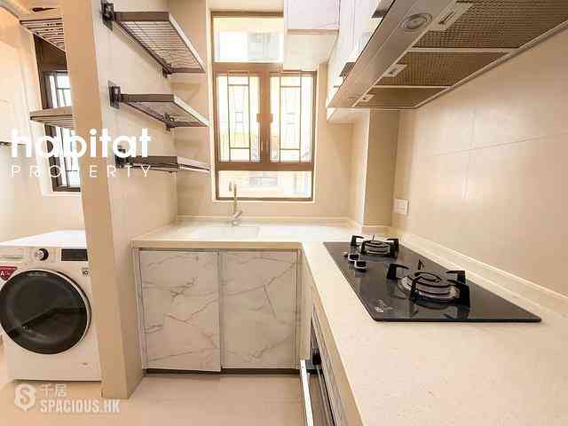 Tai Hang - 5, Wang Fung Terrace 04