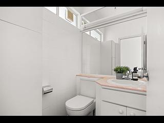 Stanley - Stanley Knoll 11