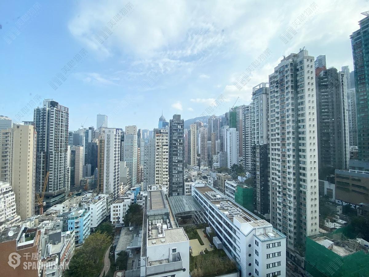 Central - Hollywood Terrace 01