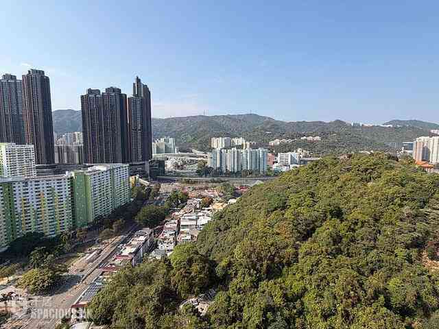 大围 - 愉景花园 11