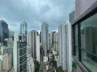 Poho - Rich View Terrace 08