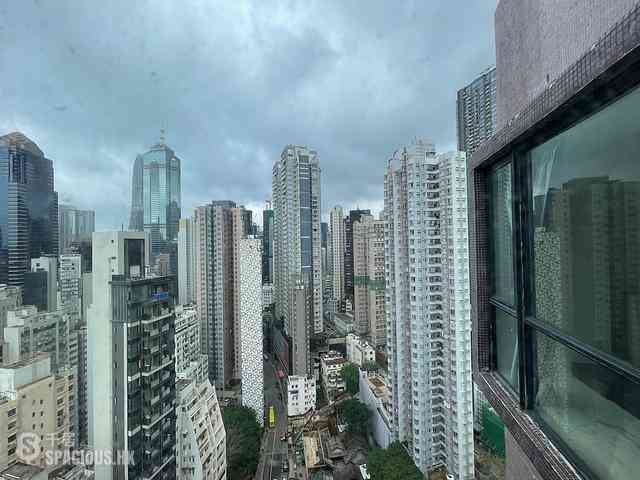 Poho - Rich View Terrace 08