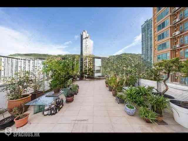 Tai Hang - Rosedale 01