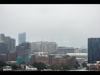 Jordan - Arbour 03
