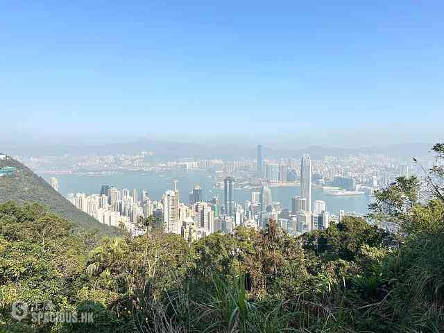 山顶 - 山景 种植道27号 04