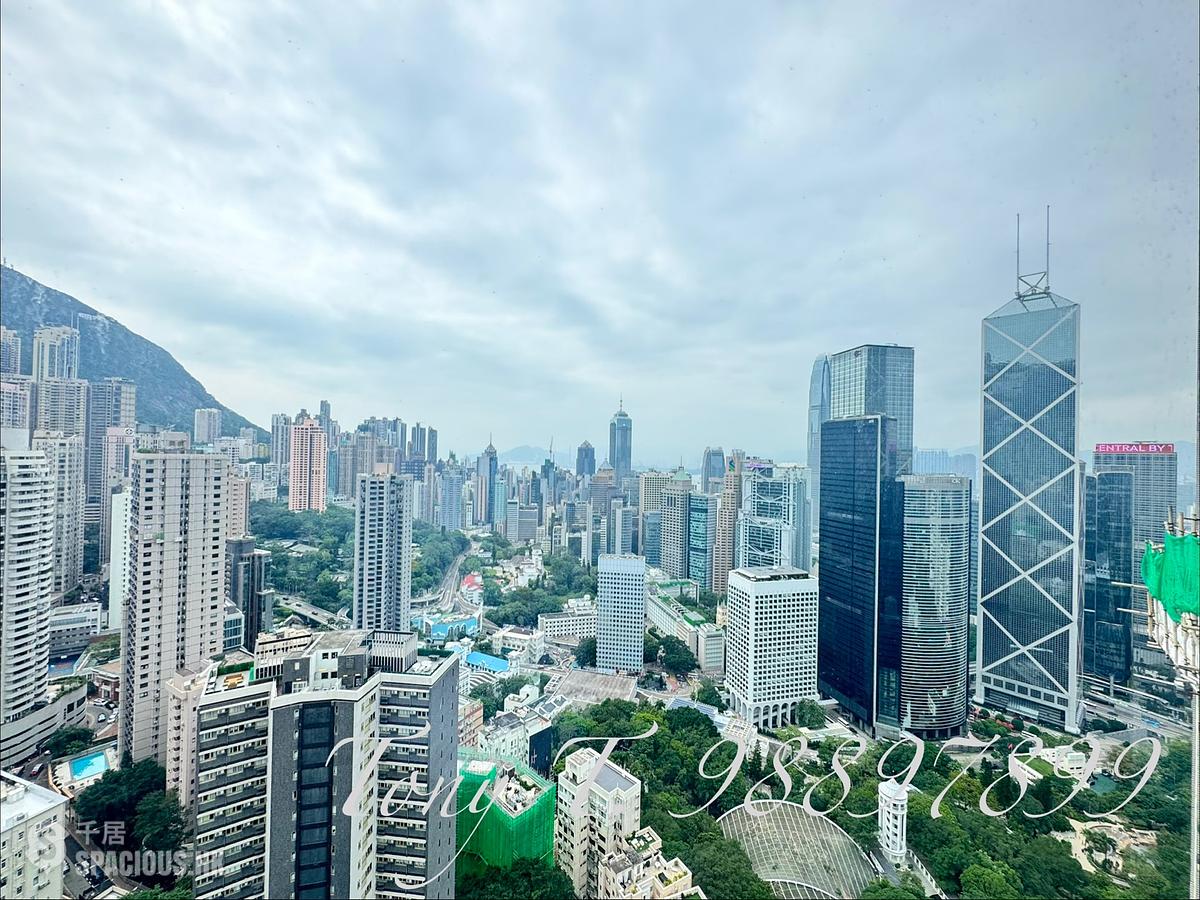 中半山 - 寶樺臺 01