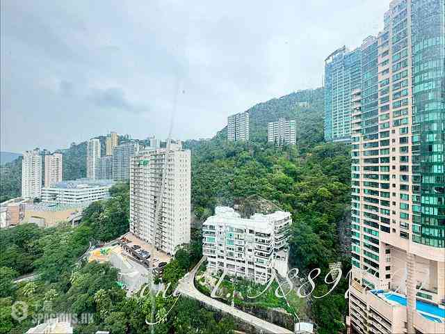 中半山 - 寶樺臺 02