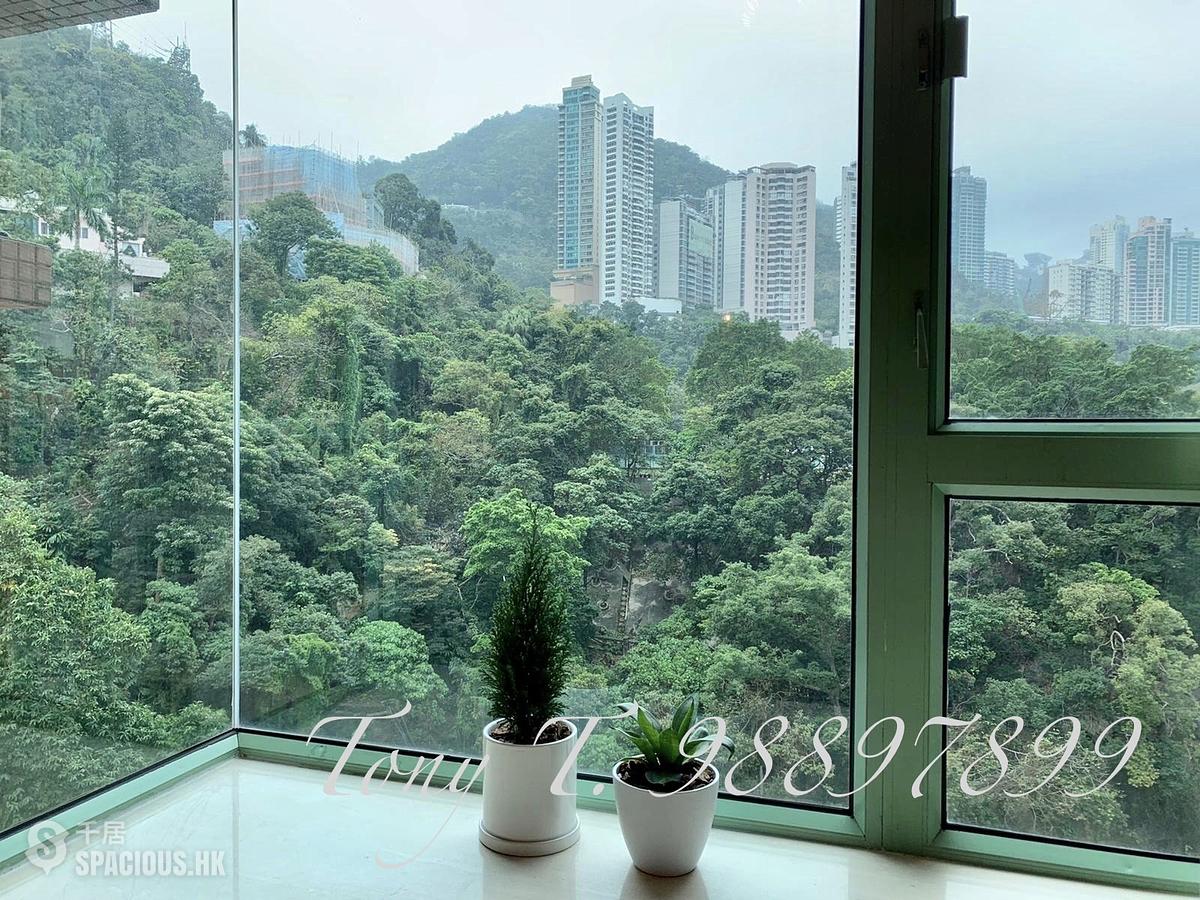 Wan Chai - Royal Court 01