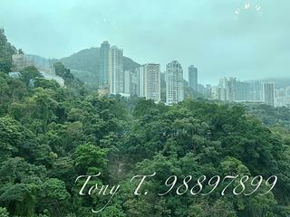 Wan Chai - Royal Court 02