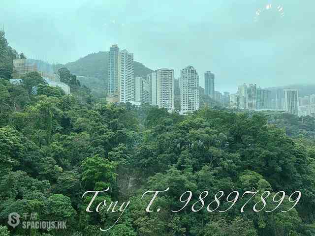 Wan Chai - Royal Court 02
